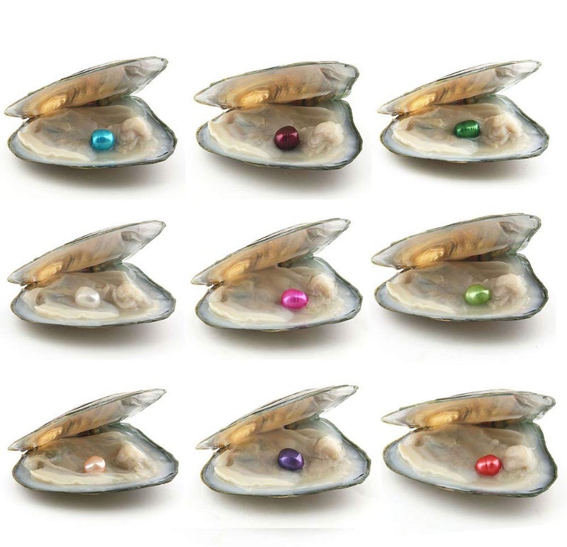 QSLLER 10PCS Freshwater Cultured Pearl Oyster with 7-8mm Oval Pearl(Inside 10pcs Random Colors Pearls) - Image 2